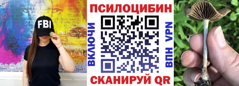 Галлюциногенные грибы мицелий  Ижевск 